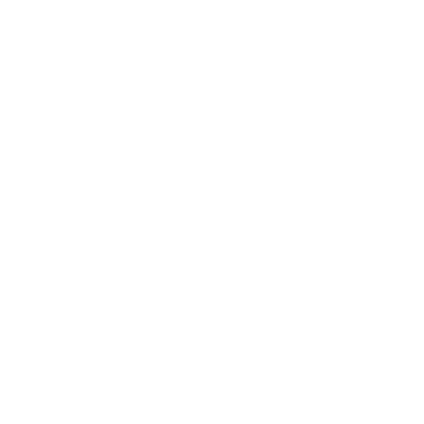 Logo Ducati