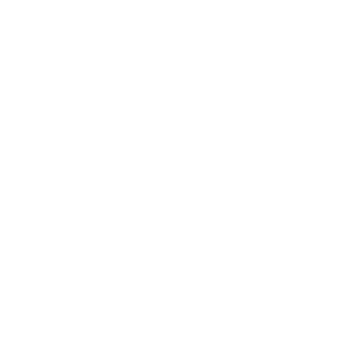 Logo Zongshen